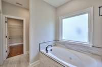 Primary Bath- Tub
