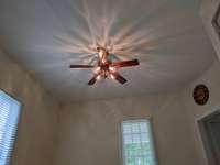 Ceiling Fan with Abundant Lighting for the Living Room