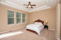 Primary Master Suite on the main floor with double trey ceiling!