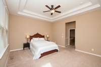 Primary Master Suite on the main floor with double trey ceiling!