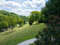 View across the side yard.