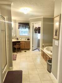 Master Bath Suite