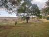 View from the back deck. All the timber at the joining property was freshly cut. Now has a view of the large valley