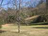 View of side land from driveway at road