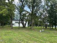 This is a huge level flat yard with mature trees