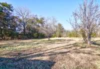 Backyard view past the two sheds