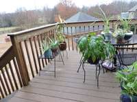 Private deck view from bonus room.