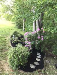 Back yard landscape in the Spring