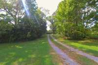 Beautiful driveway beyond the trees.