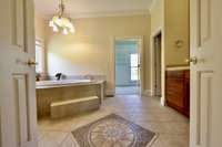 Primary bath with oversized shower and rain showerhead. Sunken tub is 24 inches deep. Large, walk-in closet with large windows for natural sunlight overlooks the front yard.