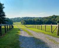 Long driveway to the road.  Beautiful fencing and water spigots are located throughout the property.