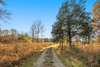 This is the gravel driveway to the house - we suggest that you bring your 4 wheel drive for safety in getting up the hill.