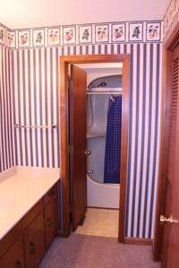 Hall bathroom showing shower/toilet area.