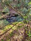 Creek along community walking trail