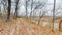 Situated on the bluff looking north across the Cumberland River.