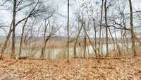 Bells Bend area across the Cumberland River.