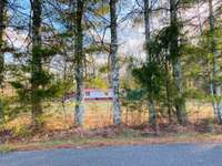 Front of the Property from the road. The property is all fenced in with lots of space to grow. 