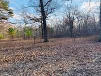 View from midway to the back of property. Cleared and separate fence and pond. 