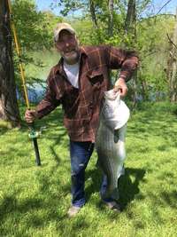 This trophy Striper was caught from the shore, right behind the house!