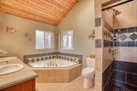 Separate shower & tub