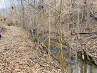 The creek along the trails. This is so beautiful