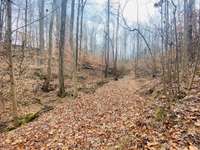 Look for creeks along the trails