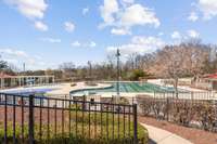 The community pool (included in your HOA fees) has several pools (including an adult only pool), picnic areas and pool slides.