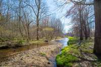 This is the creek 300 feet from your deck. It leads to a private lake