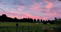 Evening in our backyard.  #4 green