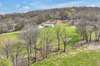 The perfect mix of pasture and trees.