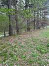 Nice level two acre lot