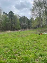 Lots of room to roam on this level two acre lot