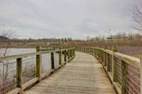 Liberty Park Marina