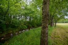 Creek is not in a flood plain.