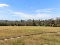 3.5 acres is YOURS in additional to this beautiful home! 9998 Big Springs Rd  Christiana, TN 37037