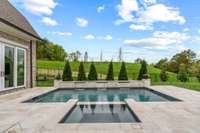 Sparkling Pool / Spa and terrace with private backyard.