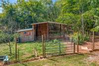 Custom-Built Chicken Coop