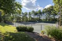 Tennis courts