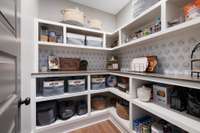 A walk in pantry that is simply dreamy.  Room for all of your extra appliances, back stock and so stylish!