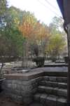 Beautiful stone steps to back of home from lower driveway