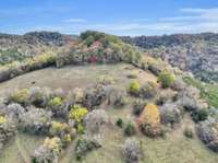 Shows the high point of the property where cattle roam