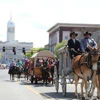 Downtown Columbia - Annual Mule Days Parade