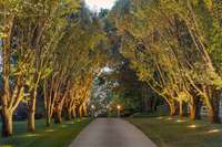 Enchanting!  This is your driveway leading to your home.