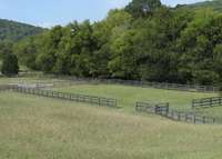 Lush spring time pastures