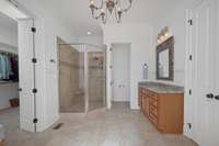 Walk-in shower and separate water closet.