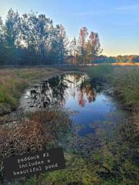 Pond on property