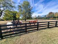 Front pasture by road.