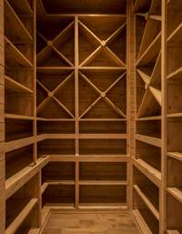 Conditioned wine room with custom iron glass door.  Built by: Schumacher Homes, LLC