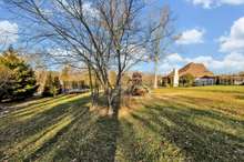 Beautifully landscaped lot with tree line along the property line, lovely natural rocks and a fully irrigated lot (font, side & back)