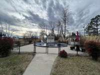 Pool w/Fence and Pool House